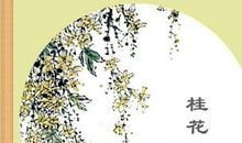 古代诗词中描写桂花的语句