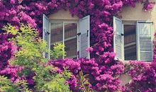 网络经典爱情语句：决定忘记的人再见到就别再心潮澎湃了