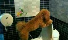 幽默搞笑的语录：比起穷这个缺点来，丑简直不值一提