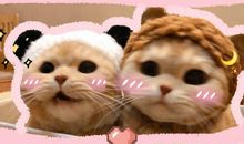 2020520超甜浪漫表白文案 适合520的告白句子