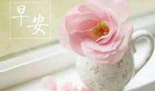 早上朋友问候短信