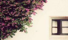 国庆玩的开心句子