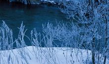 描写冬天很寒冷的句子