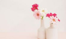 赞美关于亲情的句子大全