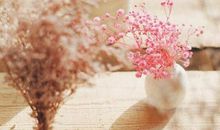 圣诞节的英语句子