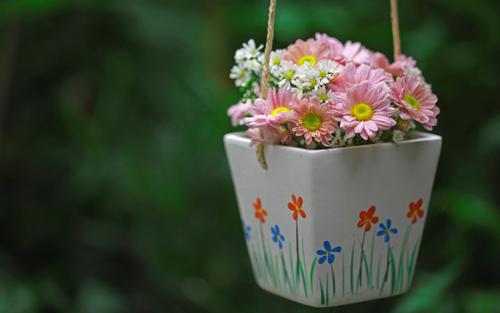 让我们看一下小编编写的有关珍惜家庭感情的句子或著名语录