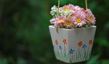 珍惜亲情的句子或名言