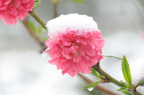 选择一个句子来表达您的感受