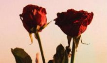 修辞手法的句子大全