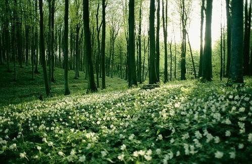 让我们看一下编辑人员所编写的非常微妙而优美的情感句子