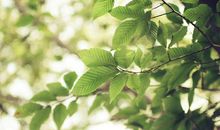 童心未泯的经典语录