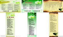 佛教经典爱情语录