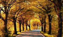 今天天气问候短信服务