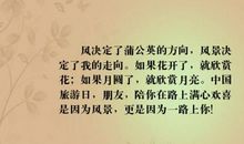 描写风的优美句子