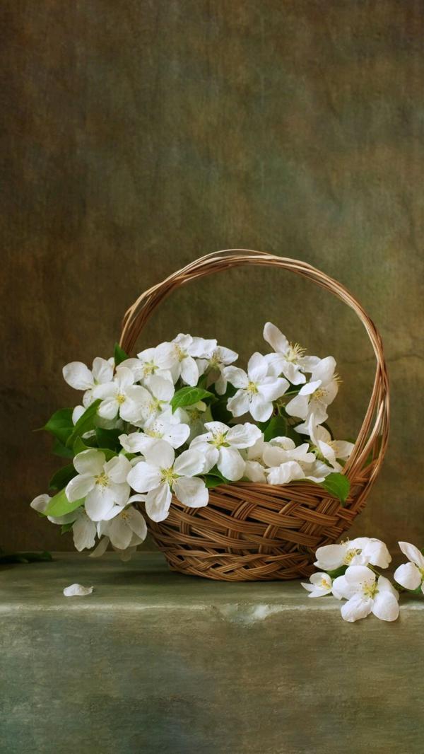 翅膀碰到了海浪