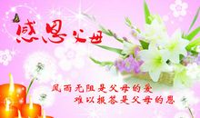 跨年感恩祝福语大全