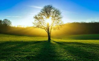 请欣赏一下珍惜眼前的句子