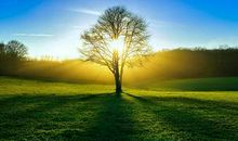 关于珍惜眼前亲情的句子