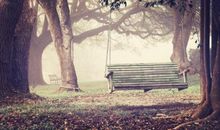 古诗词中表现亲情的句子