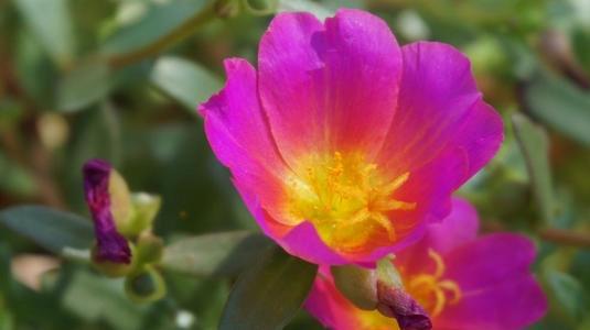 希望大家都喜欢