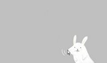 我听闻，你为她的感人句子