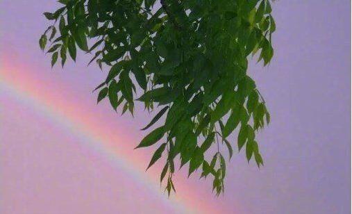 对于所有不表达爱的人来说