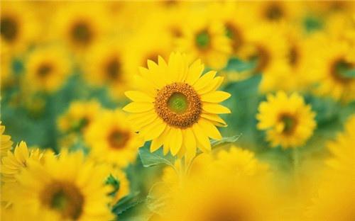 今天的天气很好