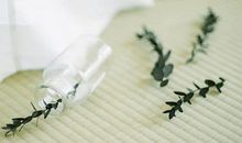 狠念父亲到心碎的句子