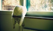 2020年适合发朋友圈的逗比句子