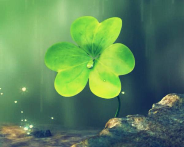 不要以为有流氓纹身