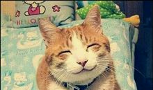 光于时间的名人名言