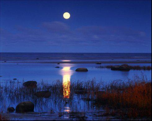 当我们向内观察时