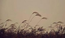 对别人表示失望的句子