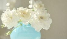 对护士的赞美一句话 表扬护士的朋友圈句子