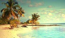 天天向上汪涵经典语录