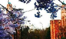 英语心碎的句子