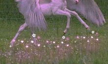 2018励志感恩的句子