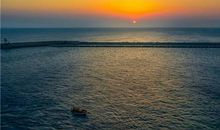 读着让人心静的句子