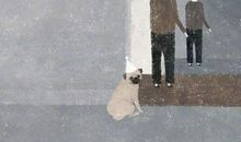 对血缘关系失望的句子