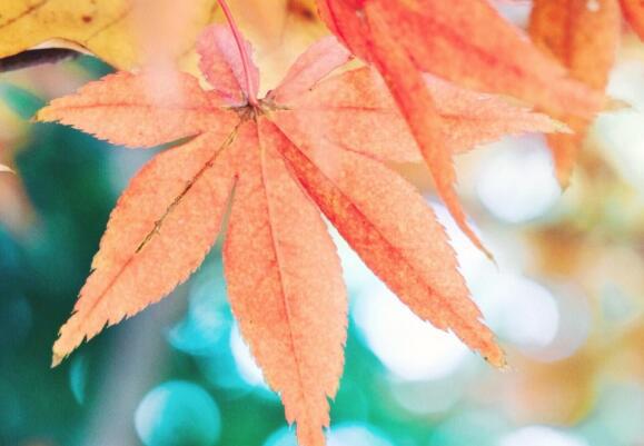 生活哲学和鼓舞人心的名言: 1