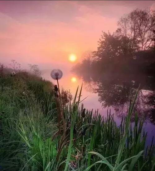 人的心灵越安静