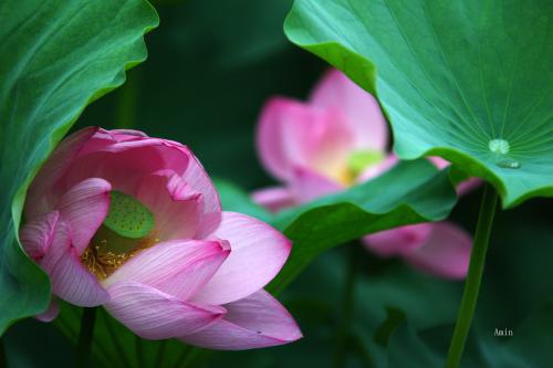 就越能客观地理解世界