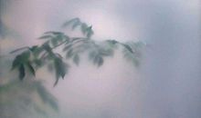 外国名人名言大全