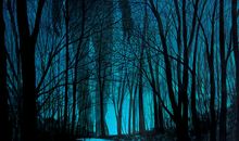 形容对别人失望的句子