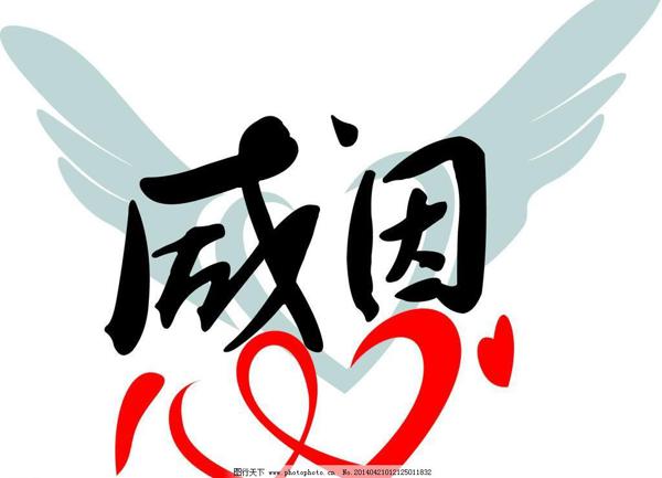 白雪皑皑的棉花就像是从田野中从天而降的雪花