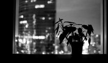 对一个人失望离开的句子