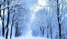 描写冬天的寒冷的句子