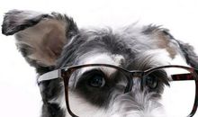 名人励志名言短句