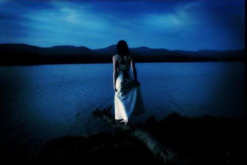 我会像孤独的受伤鸟一样