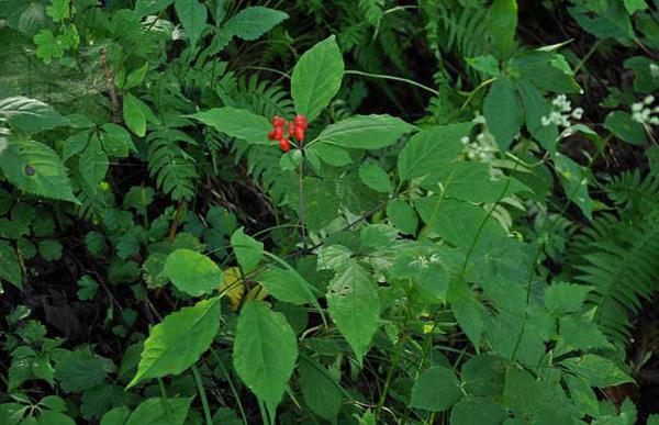 空着的人会吃得越来越多